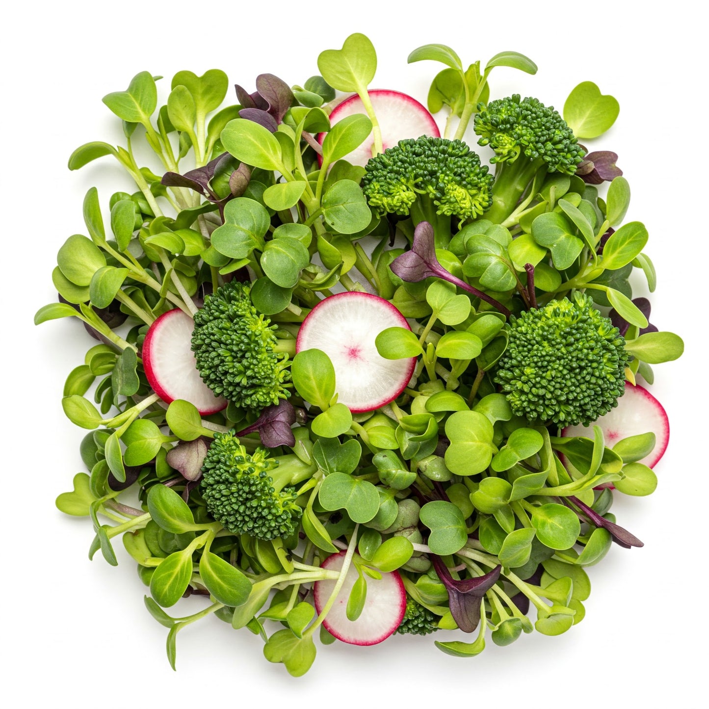 Fresh Salad Microgreens - 2oz